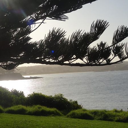 Moorhen Cove Hotel Bermagui Exterior photo