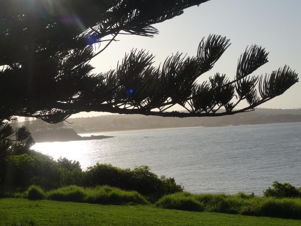 Moorhen Cove Hotel Bermagui Exterior photo